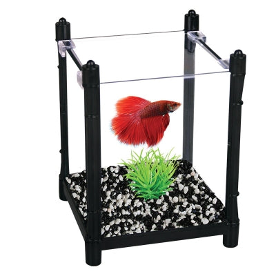 Aqua one 2024 betta duo