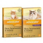 Advocate for cats flea & worm control single pacl