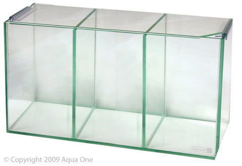 Aqua one Beta trio cube tank g