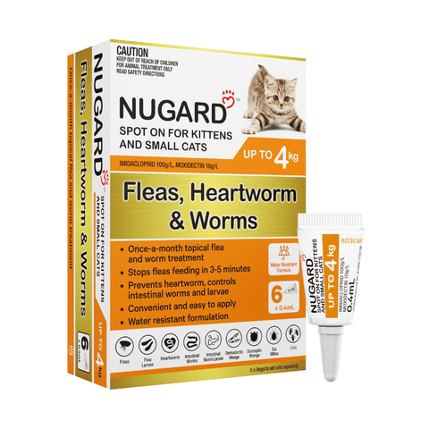 Nugard kittens / small cats upto 4kg