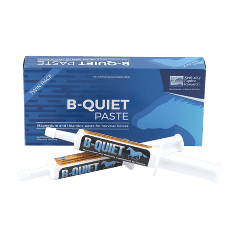 B-Quiet paste 2x 30g