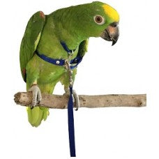 Beakaboo bird harness