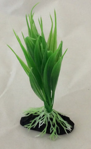 Mini plant 10cm