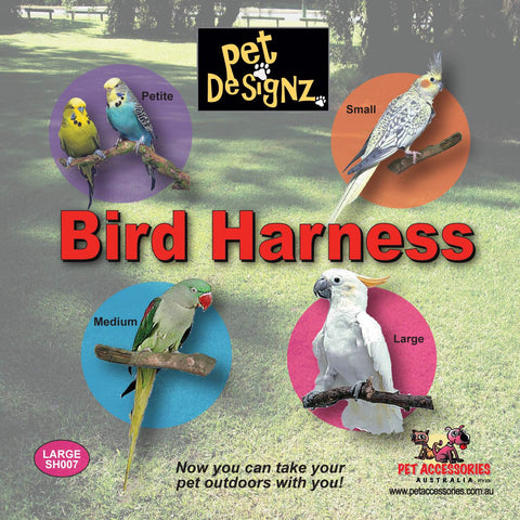 Bird designs bird harnesses