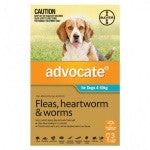 Advocate for dogs Single pack flea & worm treatment